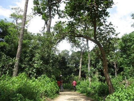 Nature Walks-4